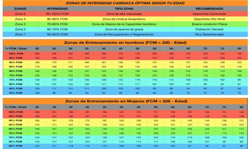 Entrenamiento Por Frecuencia Card Aca Optimiza Tu Rendimiento