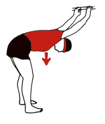 estiramiento espalda y caderas estiramiento espalda y caderas
