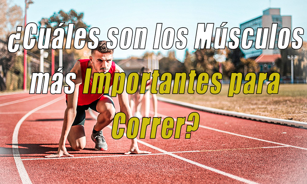 ¿Cuáles son los Músculos más Importantes para Correr?